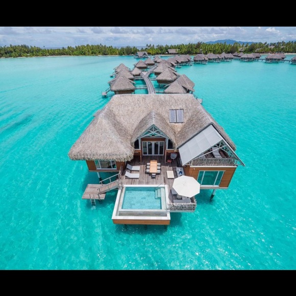 Meet your Posher, Shaylyn - Picture 1 of 1